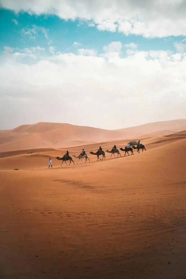 Tour con camellos en en el desierto de Marruecos