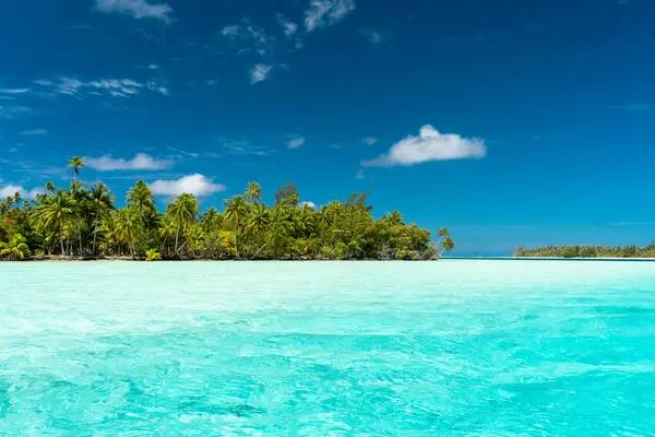 Isla Saona con aguas cristalinas y palmeras