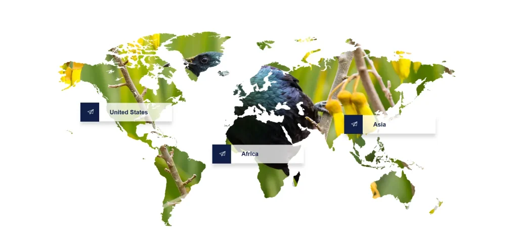 Mapa del mundo con diferentes destinos y excursiones