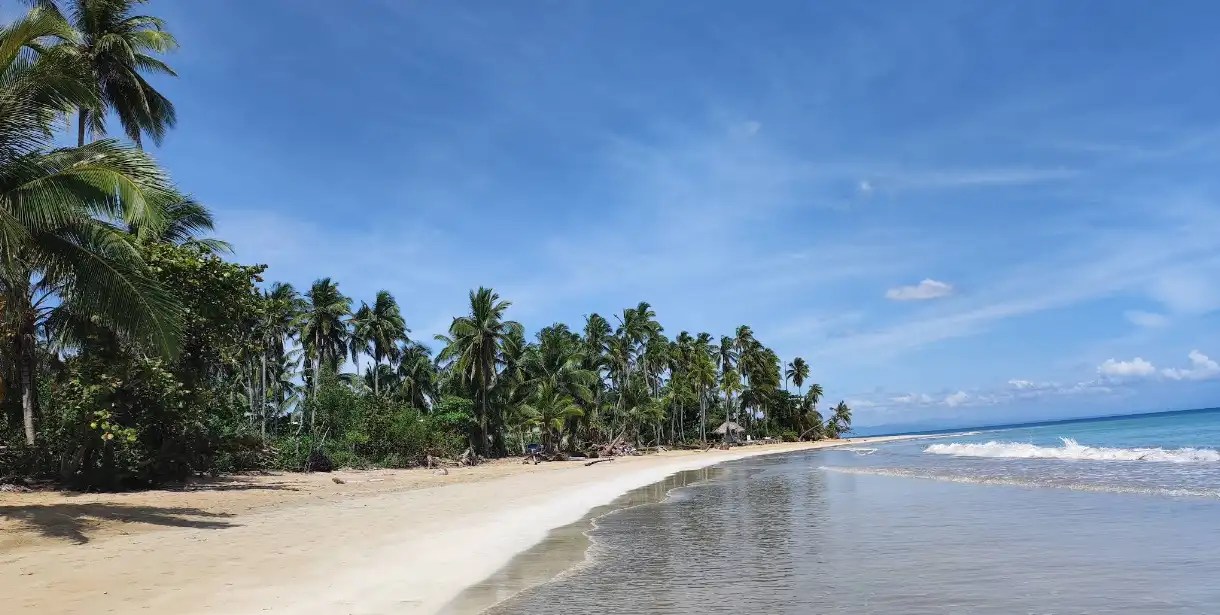 Playa Cosón Las Terrenas con olas